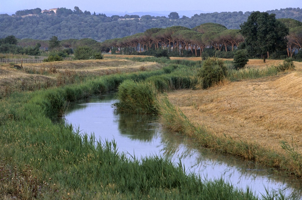 Naturpark Maremma bei Alberese