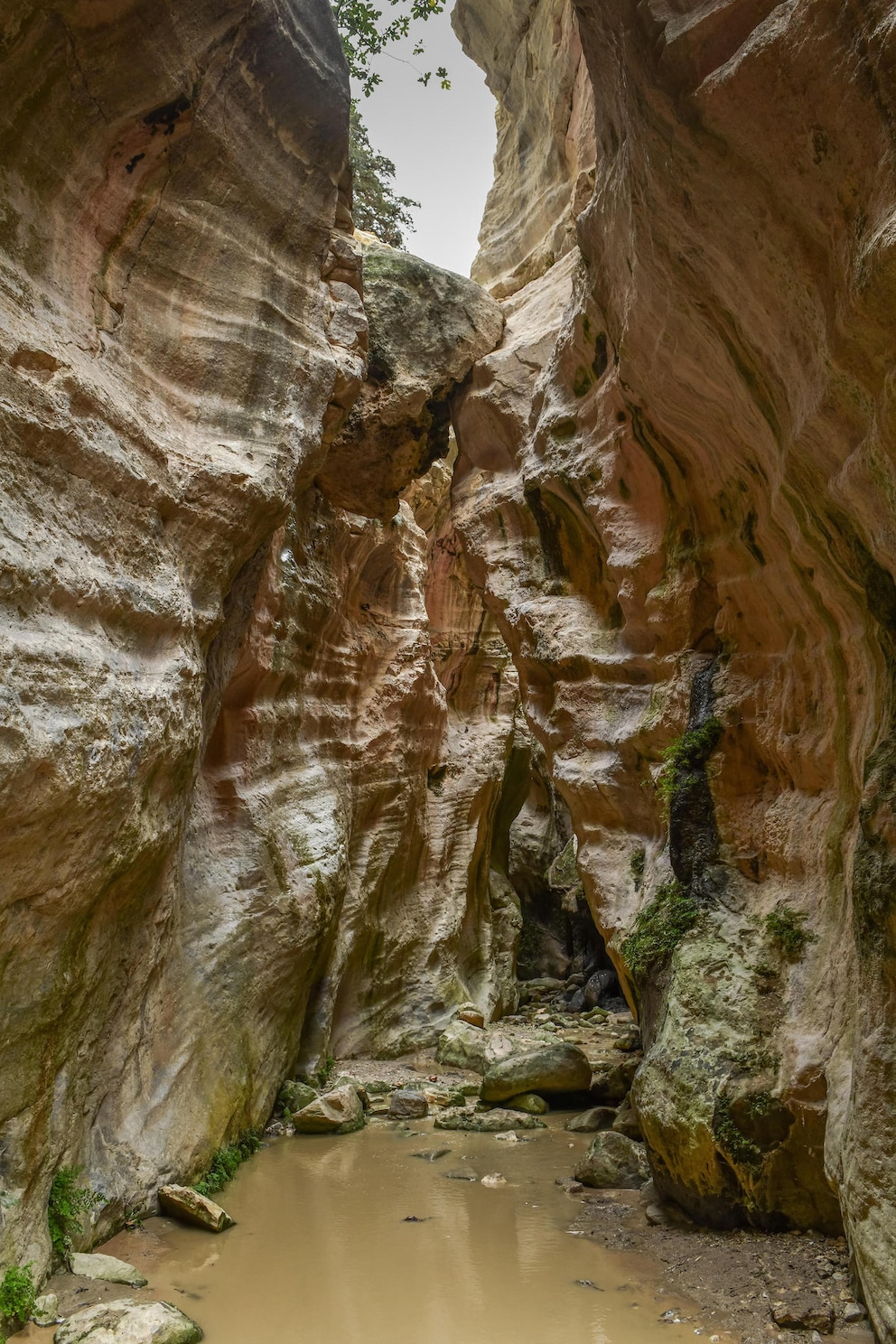  Die Avakas-Schlucht auf der Akamas-Halbinsel