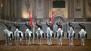 Spanische Hofreitschule Wien