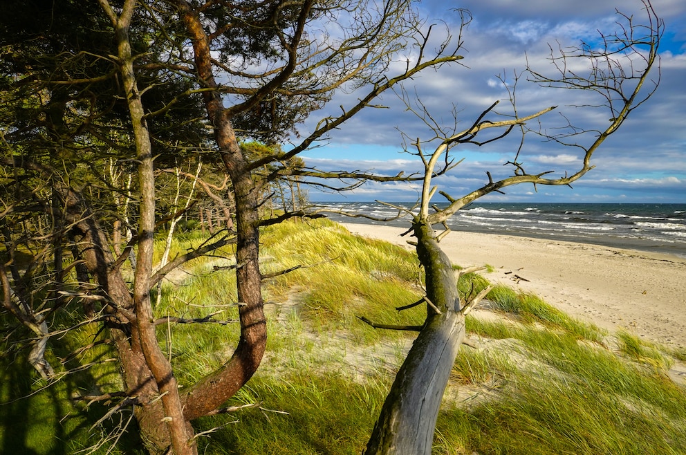 Strand Dueodde Bornholm