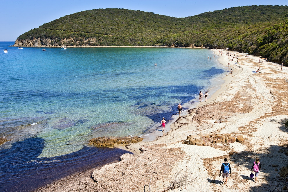 Cala Violina, Scarlino, Toskana