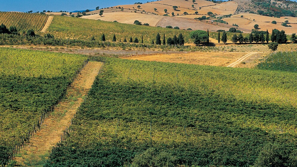 Maremma Toskana Italien