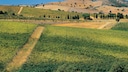 Maremma Toskana Italien