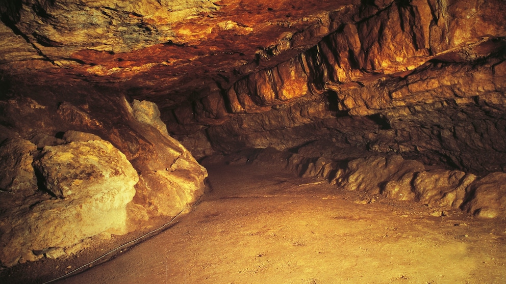 Die Höhle von Altamira ist weltberühmt und schon seit den 1980er Jahren UNESCO-Weltkulturerbestätte