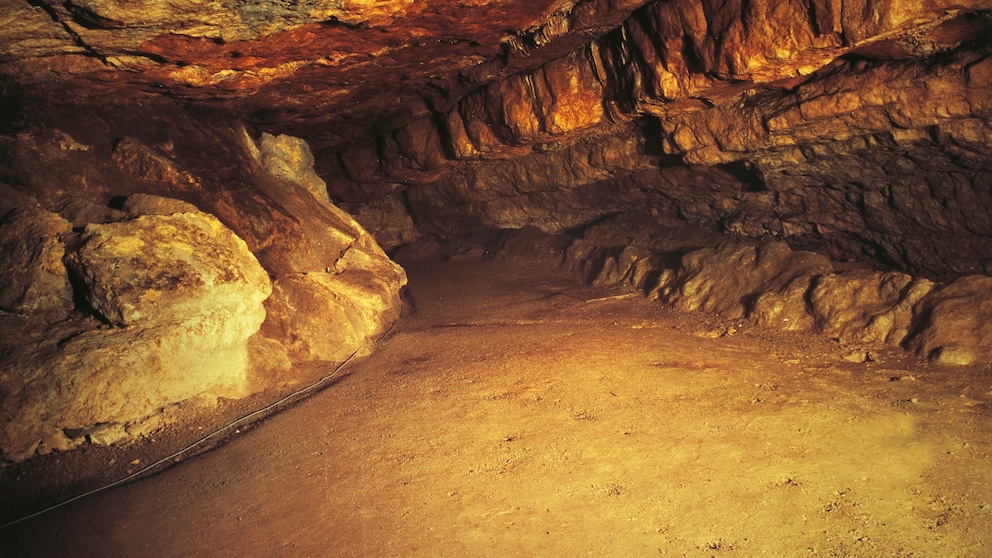 Die Höhle von Altamira ist weltberühmt und schon seit den 1980er Jahren UNESCO-Weltkulturerbestätte