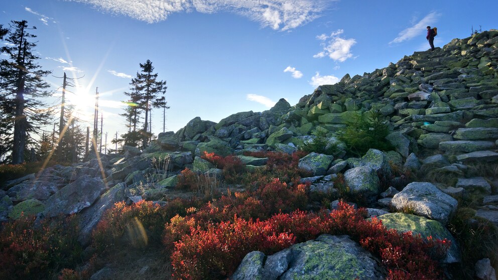 Eine Wanderin steht auf dem 1304 Meter hohen Berg Lusen und blickt über den Nationalpark Bayerischer Wald
