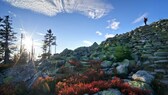 Eine Wanderin steht auf dem 1304 Meter hohen Berg Lusen und blickt über den Nationalpark Bayerischer Wald