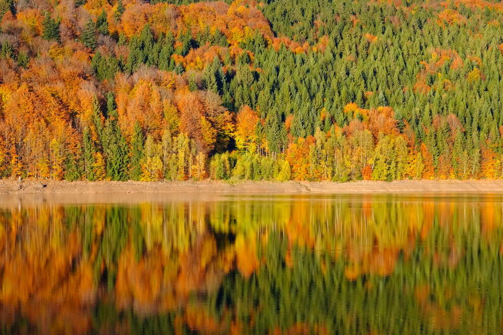 Fluss Ilz im Bayerischen Wald