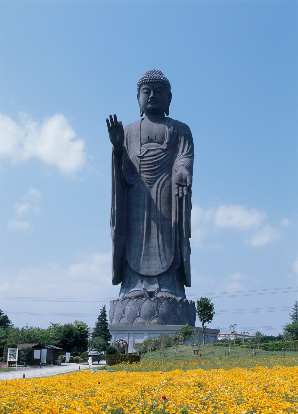 Ushiko Daibutsu