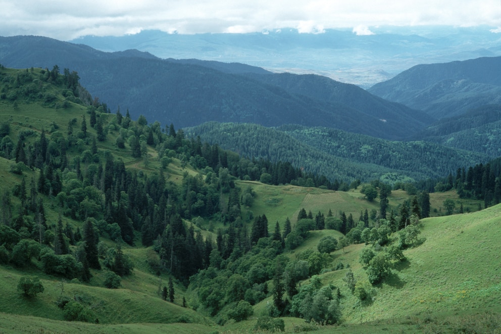 Der Bordschomi-Charagauli-Nationalpark