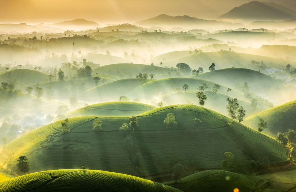 Weather Photographer of the Year