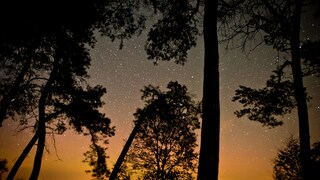 Die Region um Gülpe, nur 70 Kilometer westlich von Berlin, gilt unter Astronomen schon lange als einer der dunkelsten Orte Deutschlands