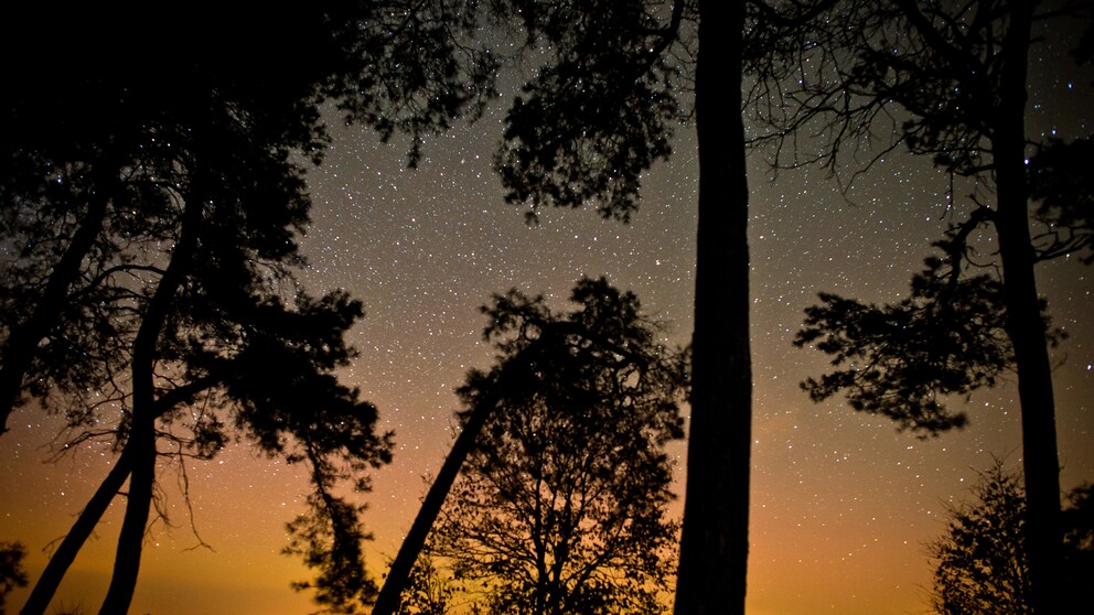 Die Region um Gülpe, nur 70 Kilometer westlich von Berlin, gilt unter Astronomen schon lange als einer der dunkelsten Orte Deutschlands