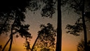 Die Region um Gülpe, nur 70 Kilometer westlich von Berlin, gilt unter Astronomen schon lange als einer der dunkelsten Orte Deutschlands