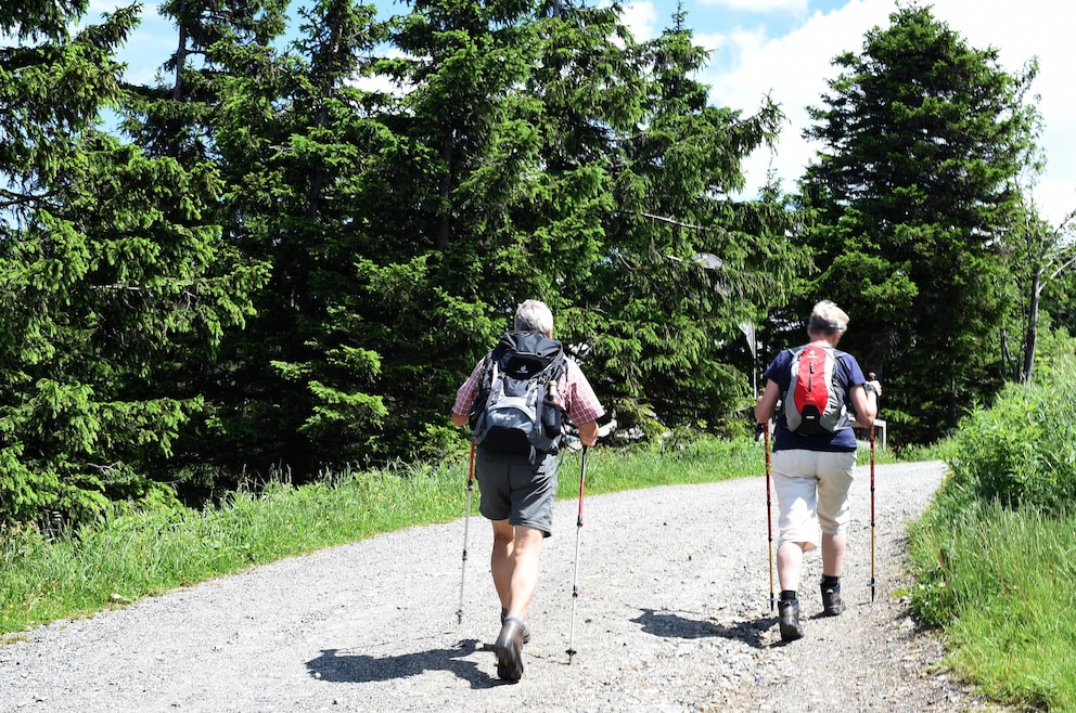 Wandern Wurmberg