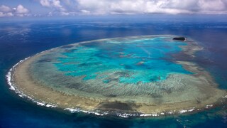 Im Great Barrier Reef entdeckten Forscher den riesigen Korallenberg
