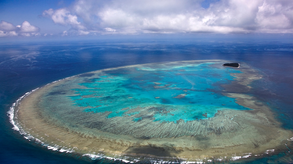 Im Great Barrier Reef entdeckten Forscher den riesigen Korallenberg