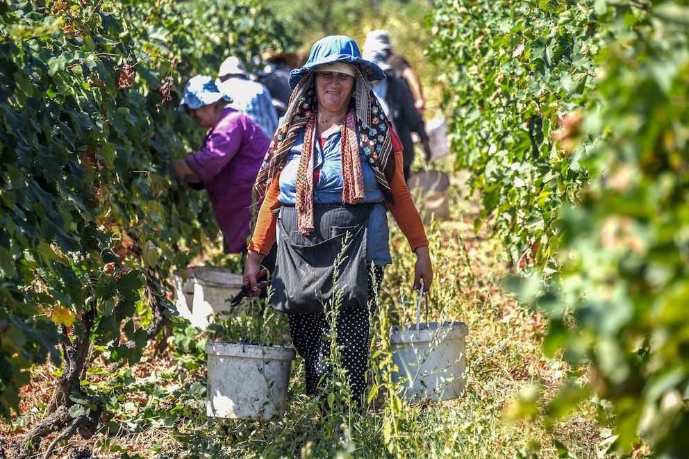 Weinanbau in Georgien