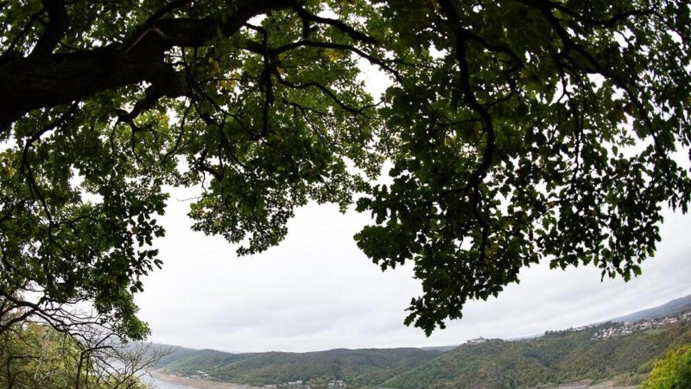 Blick auf den Edersee