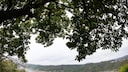 Blick auf den Edersee