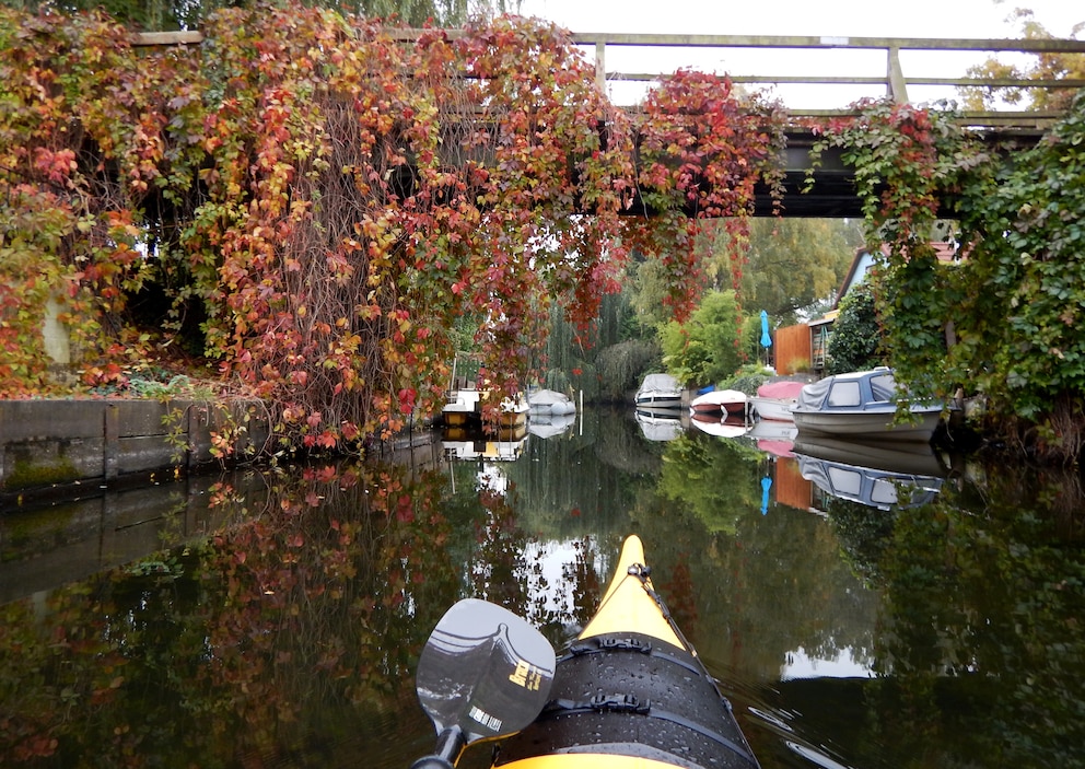 „Klein-Venedig“ in Berlin ist ein Naturort, den man am besten auf dem Wasserweg erkundet