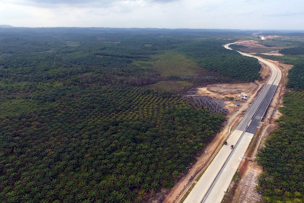 In dieser Gegend auf Borneo soll die neue Hauptstadt entstehen.