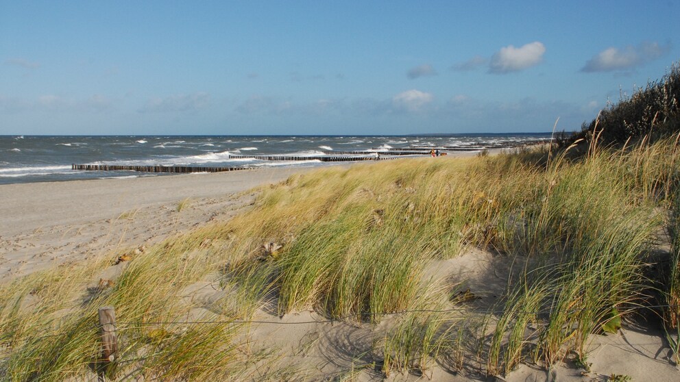 Ostseestrand Ahrenshoop