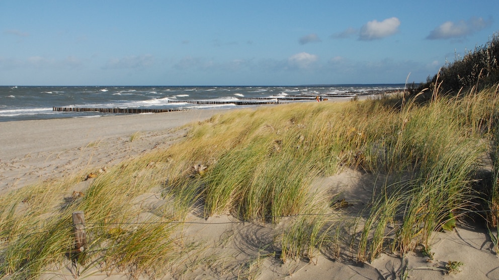 Ostseestrand Ahrenshoop