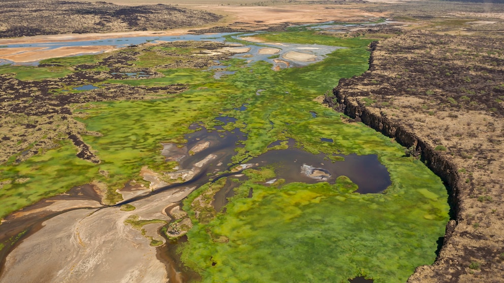Im Großen Afrikanischen Grabenbruch, auch Rift Valley genannt, gibt es zahlreiche Vulkane, etwa den Mount Silali in Kenia, der heute nicht mehr aktiv ist