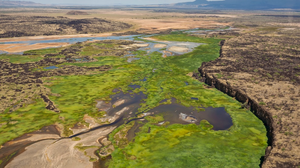 Im Großen Afrikanischen Grabenbruch, auch Rift Valley genannt, gibt es zahlreiche Vulkane, etwa den Mount Silali in Kenia, der heute nicht mehr aktiv ist