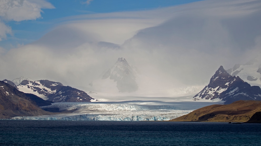 Südgeorigien wird auch als Galapgos der Antarktis bezeichnet – und aktuell von dem größten Eisberg der Welt bedroht, der darauf zutreibt
