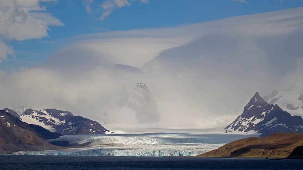 Südgeorigien wird auch als Galapgos der Antarktis bezeichnet – und aktuell von dem größten Eisberg der Welt bedroht, der darauf zutreibt