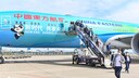 China Eastern, Flugzeug