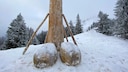 Holzpenis Allgäu