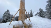 Holzpenis Allgäu