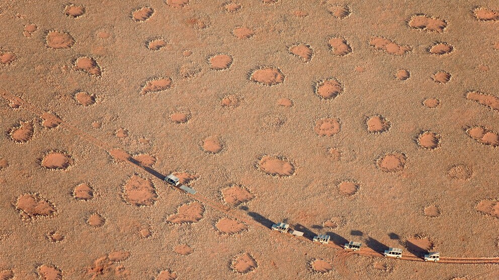 Feenkreise Afrika Termiten