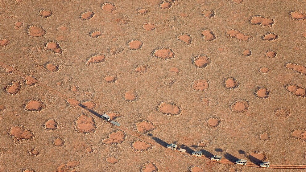 Feenkreise Afrika Termiten