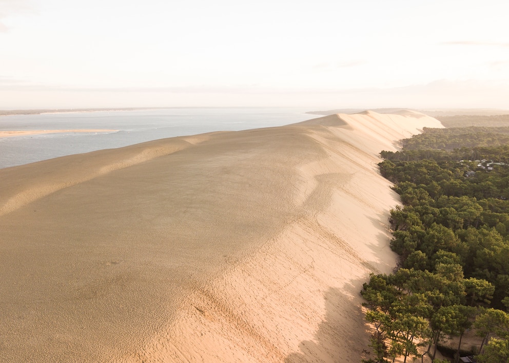 Wanderdüne Europa Frankreich Dune du Pilat