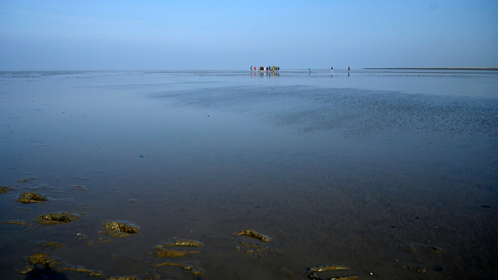 Wattenmeer