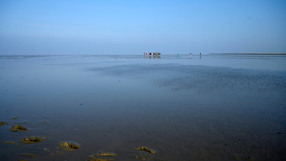 Wattenmeer