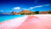 Pantai Merah oder Pink Beach auf der Insel Komodo