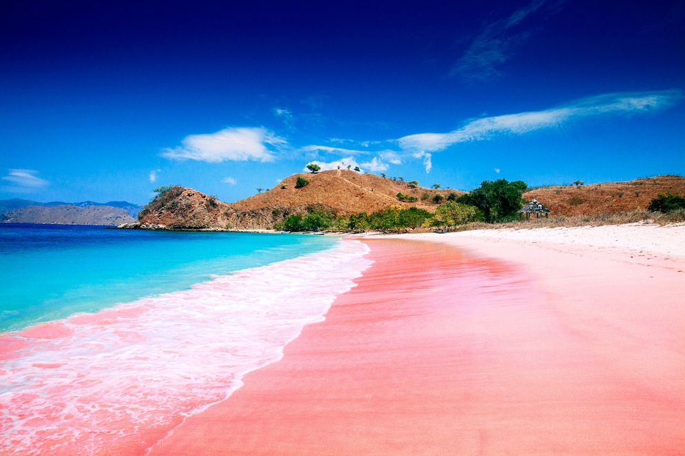 Pantai Merah oder Pink Beach auf der Insel Komodo