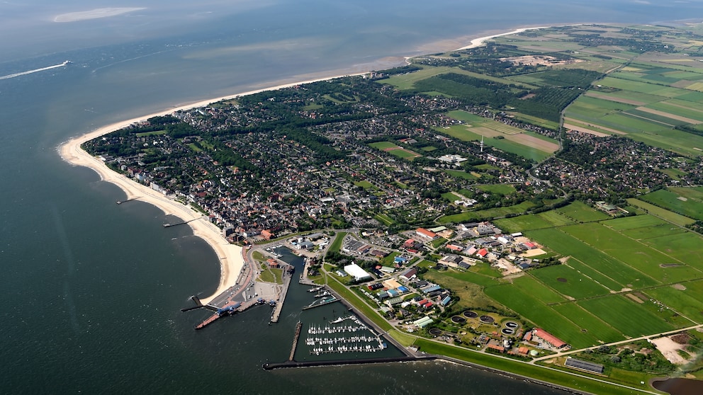 Föhr