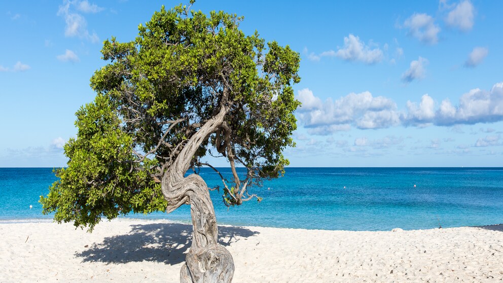 Aruba - ein Muss auf der Bucketlist 2021