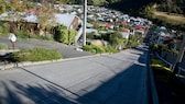 Die Baldwin Street in Neuseeland galt lange Zeit als die steilste Straße der Welt. Heut ist sie das laut Guinness-Buch der Rekorde nicht mehr.