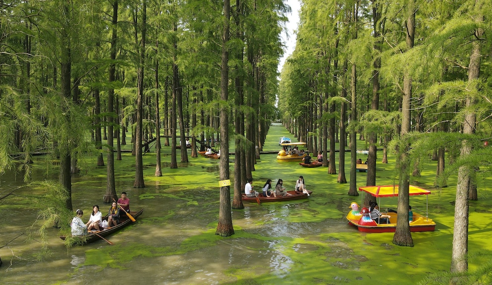 Luyang Lake Wetlands Park