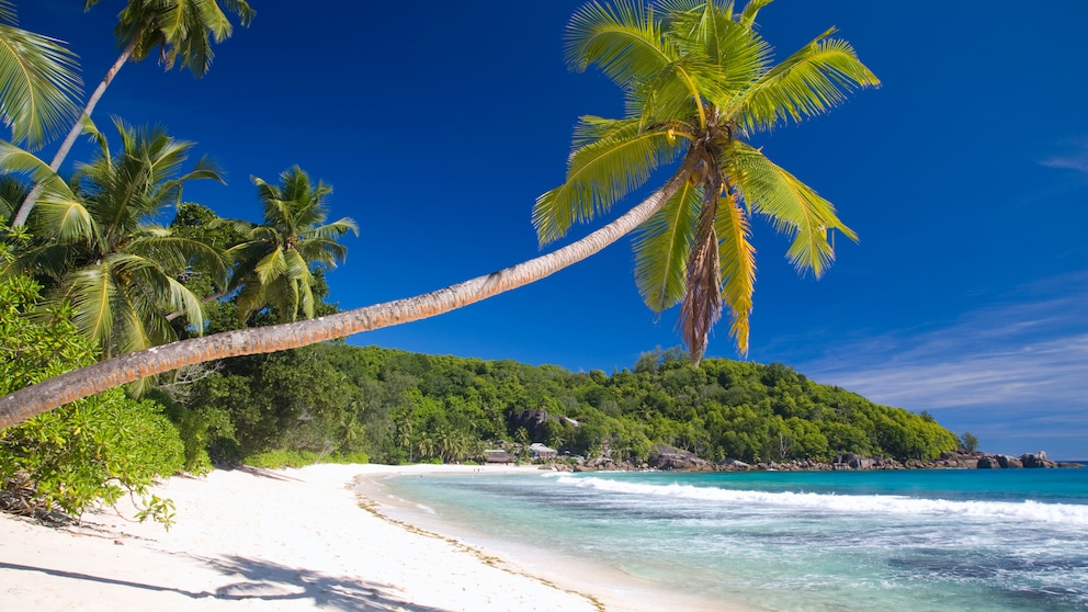 Urlaub Seychellen Corona