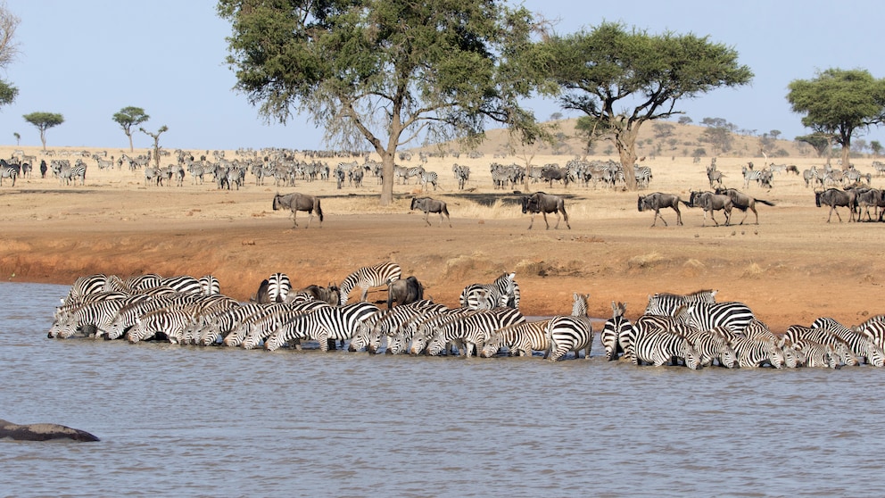 Die beliebtesten Nationalparks der Welt