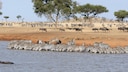 Die beliebtesten Nationalparks der Welt