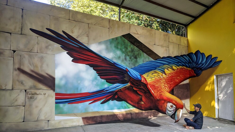3D-Streetart von Carlos Alberto GH